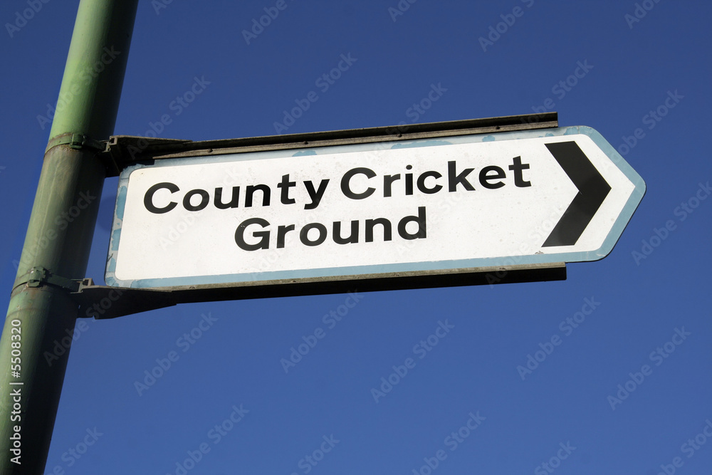 Fototapeta premium Cricket this way