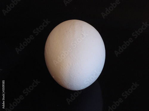 egg front