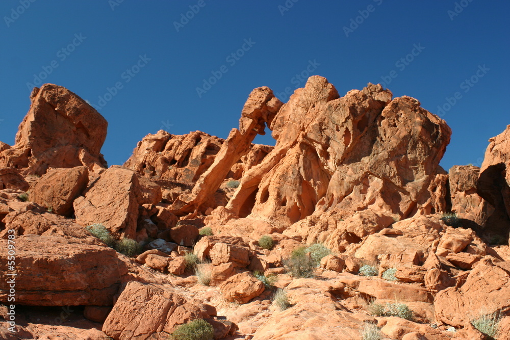 Fototapeta premium Elephant Rock