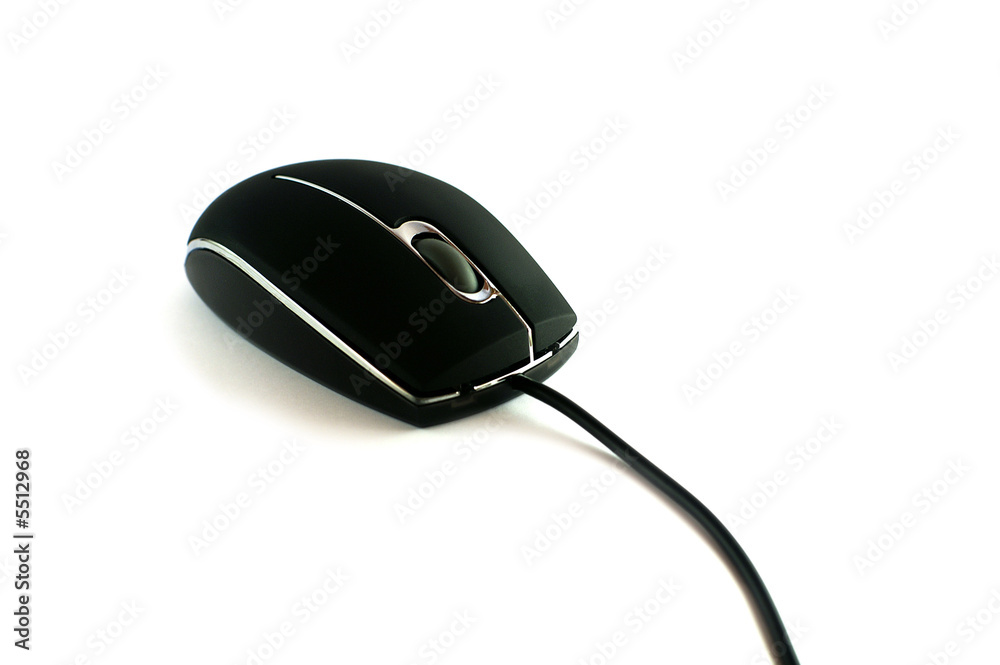 Big black mouse on the white background Big black mouse on the white background