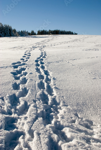 Fußspuren im Schnee