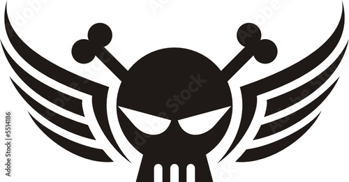 skull wings