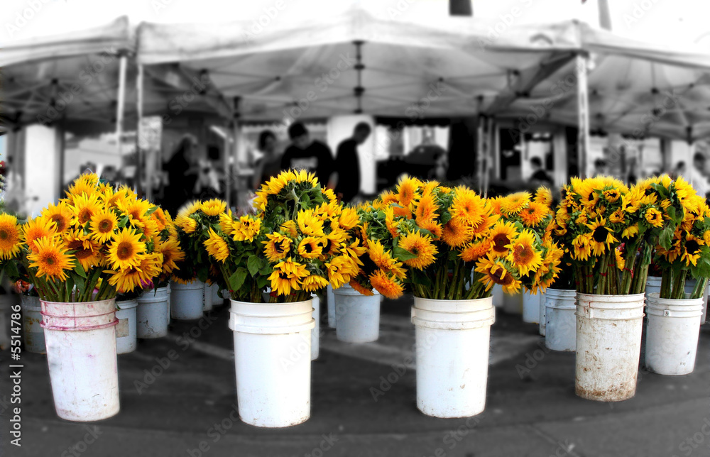 Fototapeta premium Sunflowers at the Farmer's Market