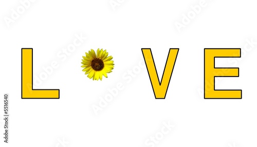 FLOWER LOVE