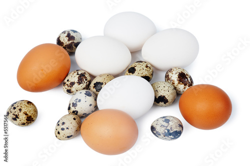 Various eggs isolated on white.