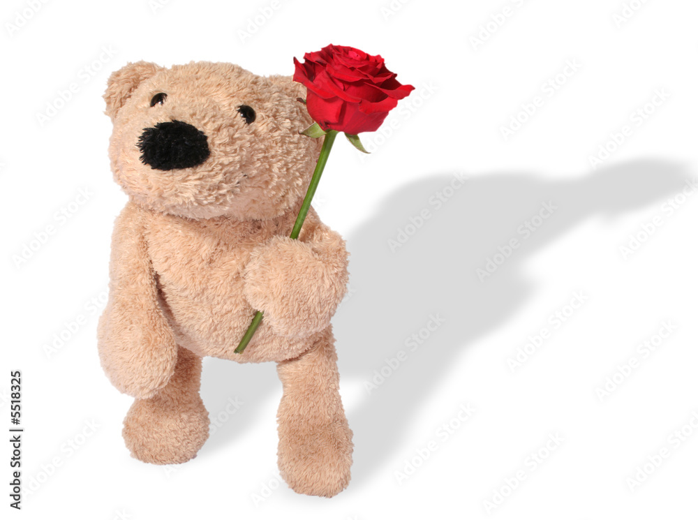 Bear with rose Bear with rose