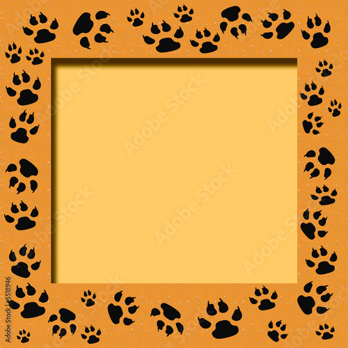 tiger track frame