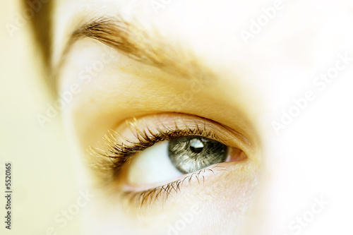 Obraz na plátně oeil bleu vert gris regard de femme fond blanc plaisir sérénité