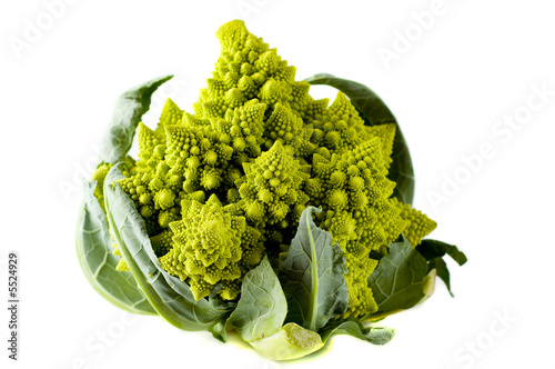 Chinese lettuce
