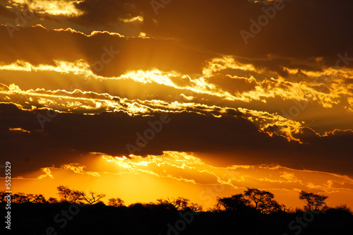 sunset on savanna photo