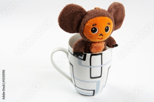 The soft toy in a cup photo