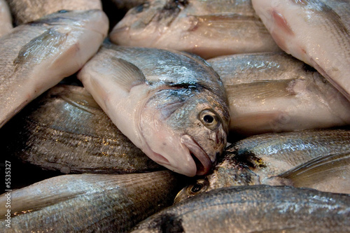 market fish close-up