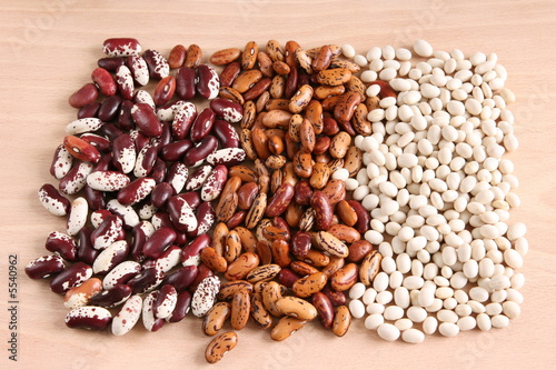 Assortment of various beans