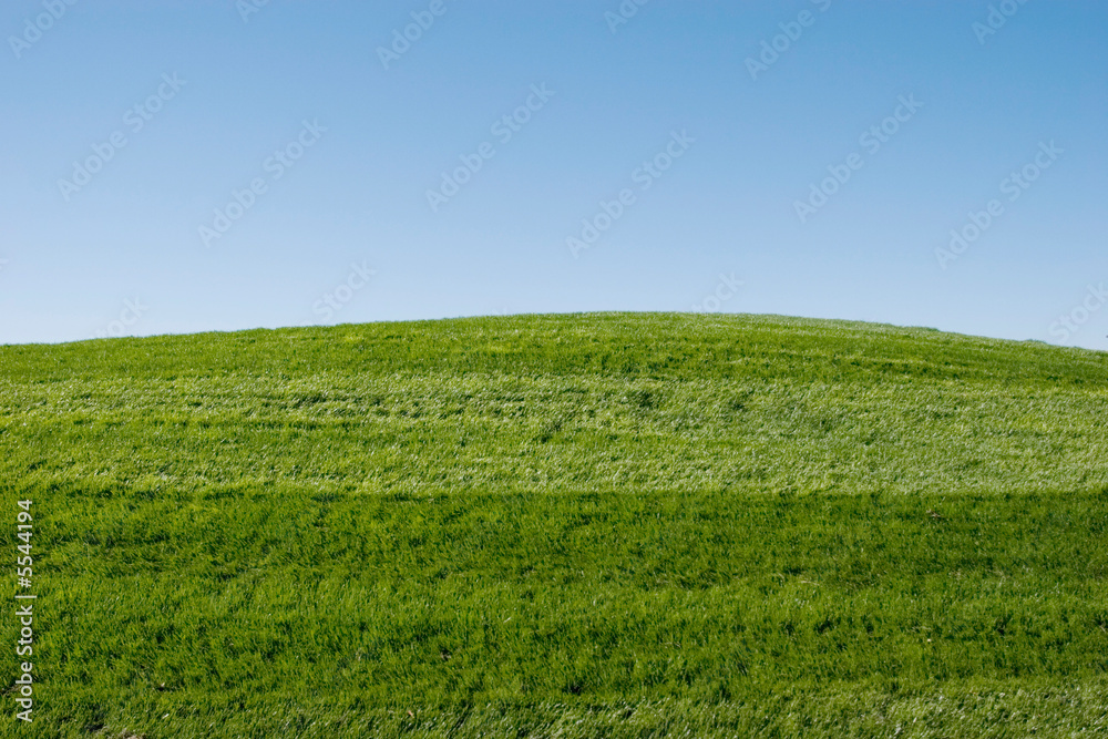 Green grass hills and blue sky