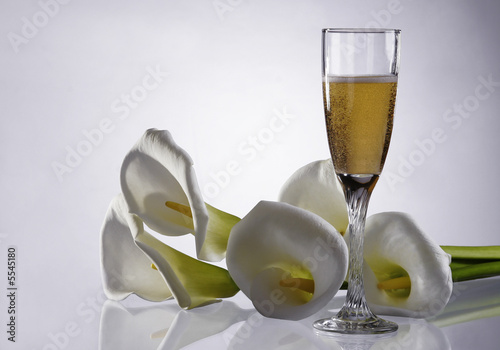 champagne