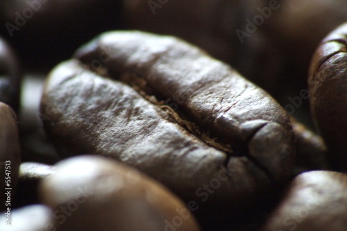 Coffeebeans photo