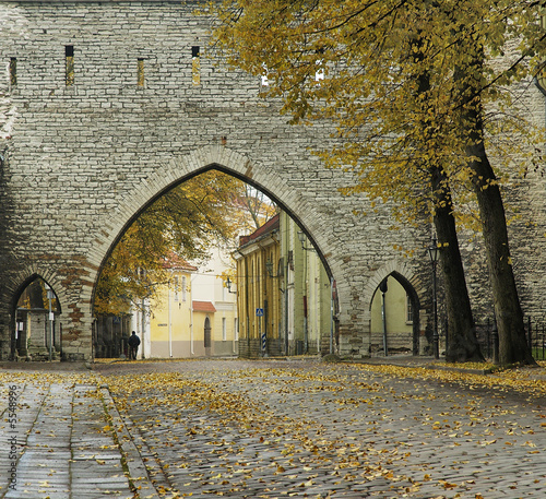 Street of city of Tallinn #5548996