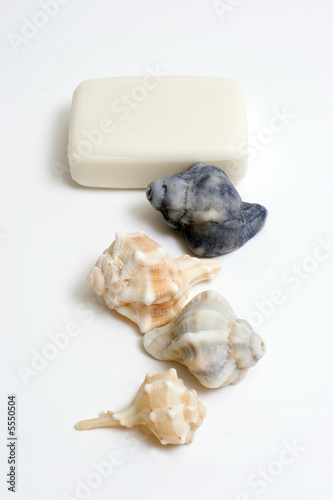 SPA Items - isolated soap and seashell