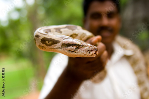 Snake charmer holding in hand a python