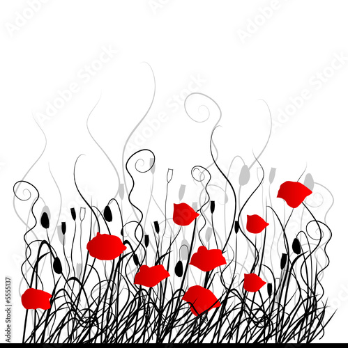 Background with grass ang red poppie isolated on white