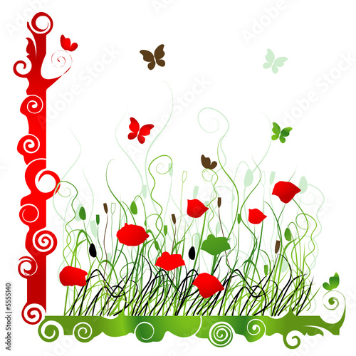 Background with green grass ang red poppie isolated on white