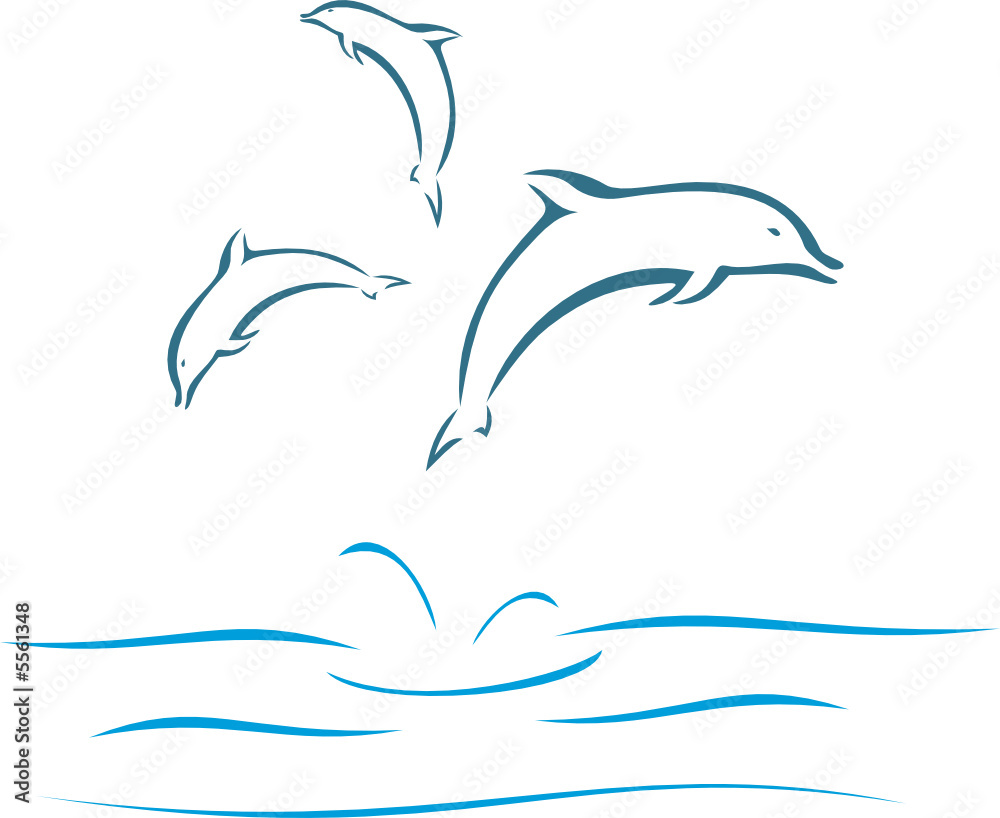Dolphins Dolphins