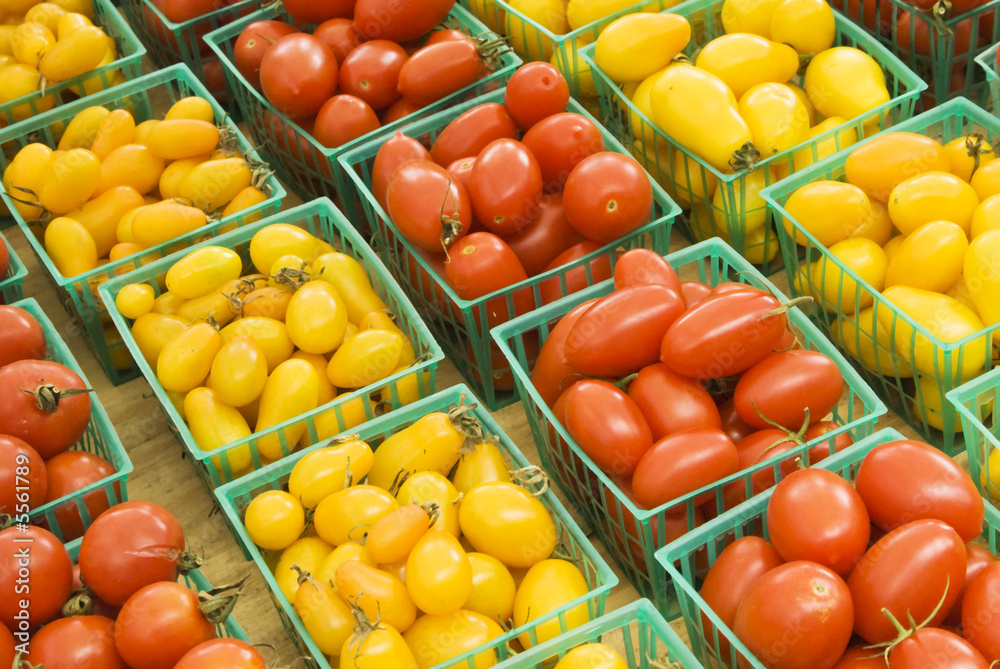 fresh tomatos on display at a farmer's market in Minneapolis fresh tomatos on display at a farmer's market in Minneapolis