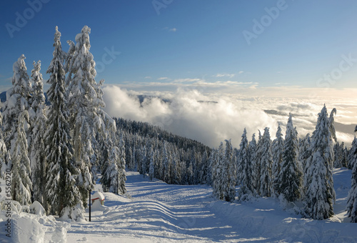 mt. seymour ski resort with fresh snow