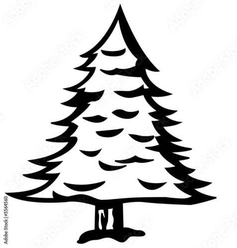 pine tree