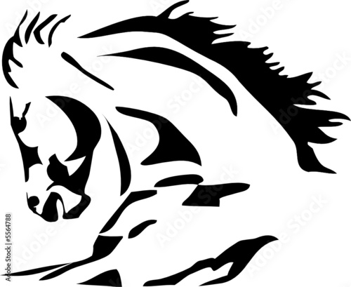 horse head illustration