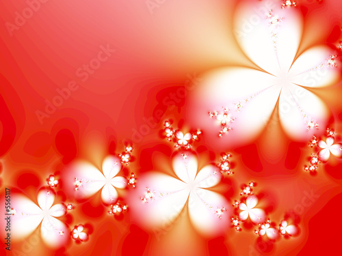 Bouquet of flowers