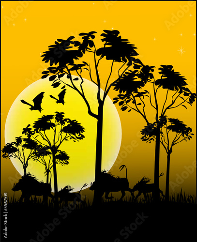 Tiere aus Afrika - Vector