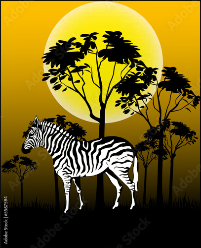 Tiere aus Afrika - Vector