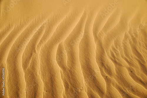 Close-up shows details and structure of the sand. © cbphoto