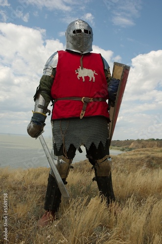 Medieval European knight