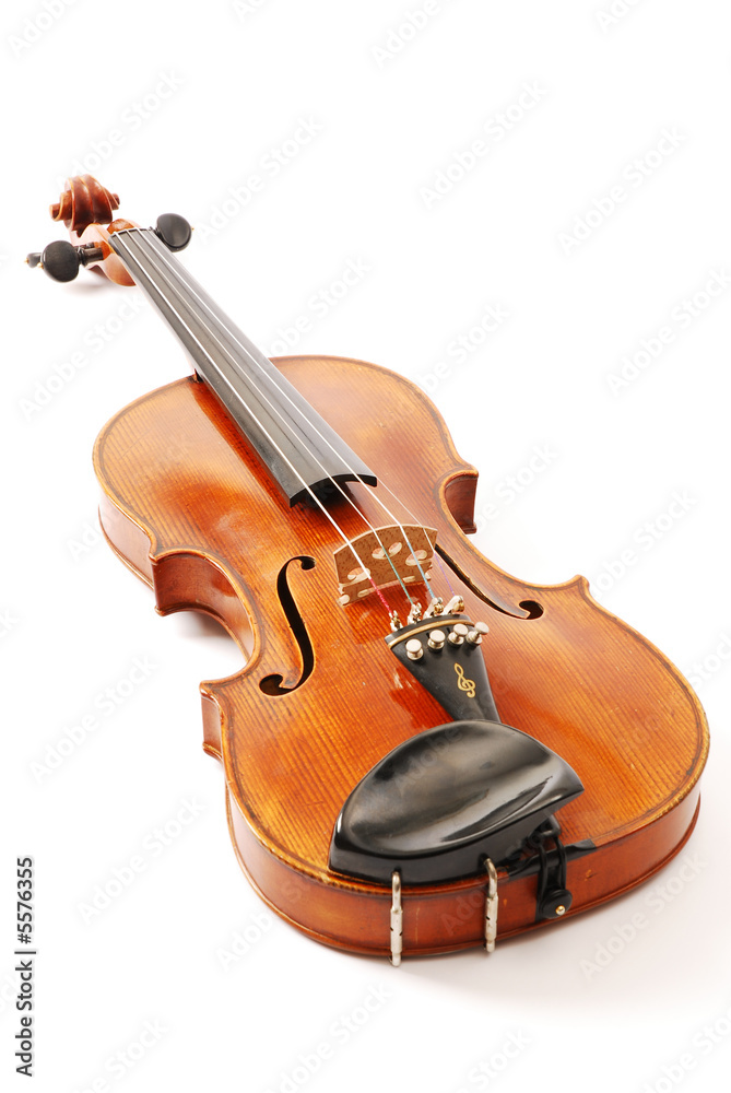 Fototapeta premium skrzypce