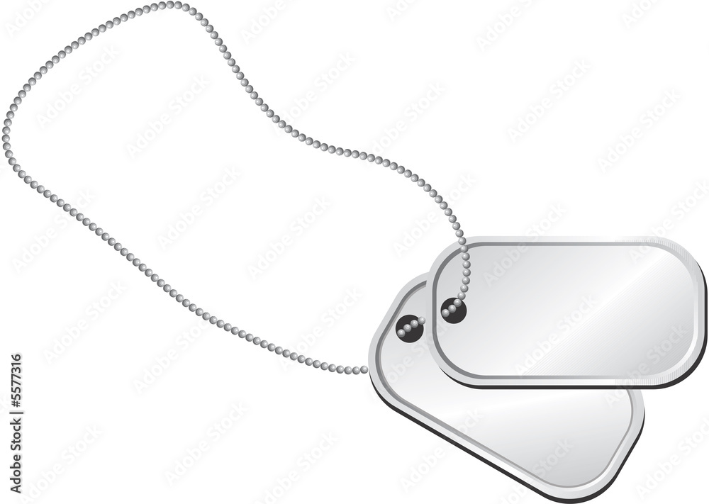 Fototapeta premium Pair of dog tags or identity plates
