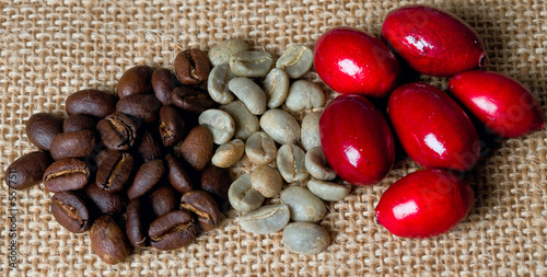 granos de cafe