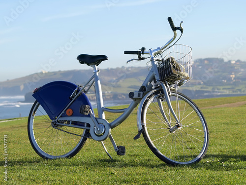 Bicicletascon cesta en el cesped