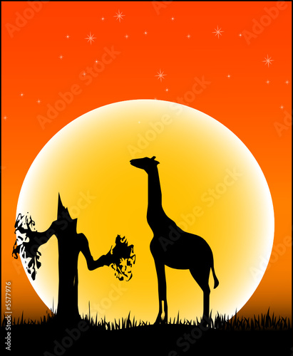 Tiere aus Afrika - Vector