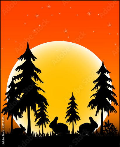 Tiere aus Afrika - Vector
