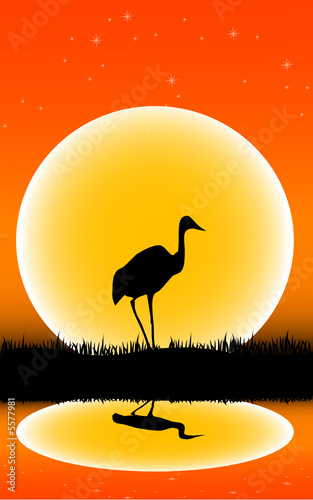 Tiere aus Afrika - Vector