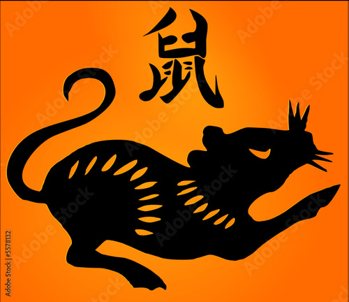 année du rat