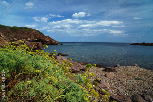 Rocky bay with beach and yellow flowers 