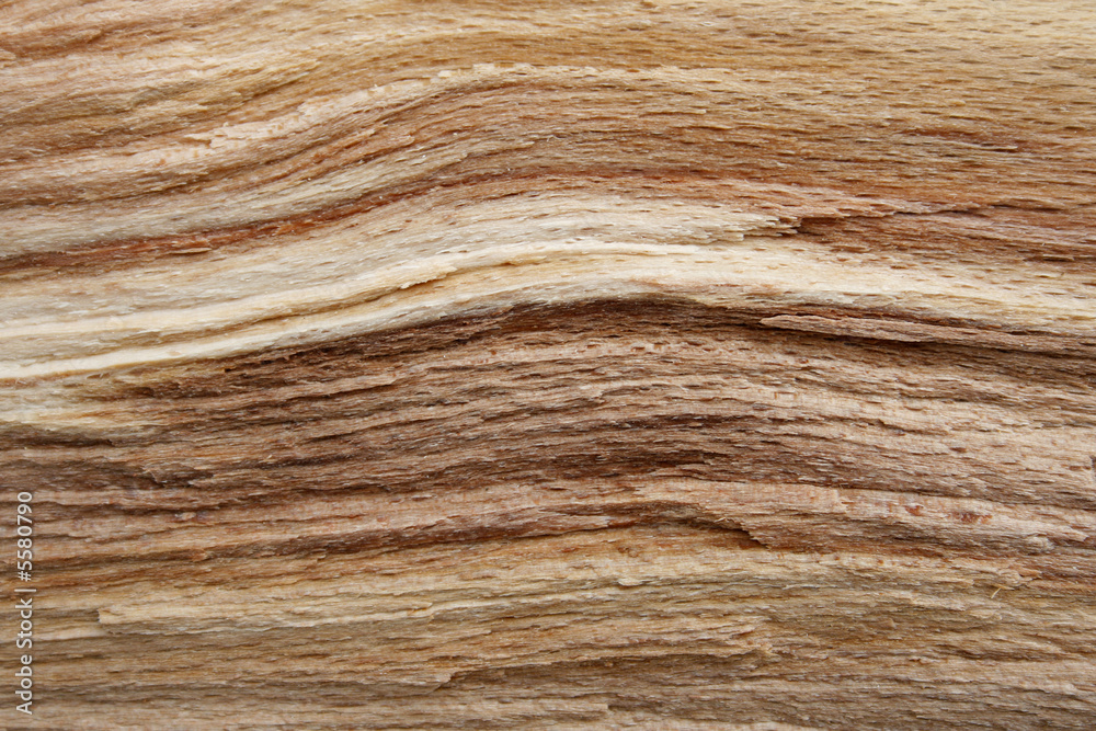 wood wood