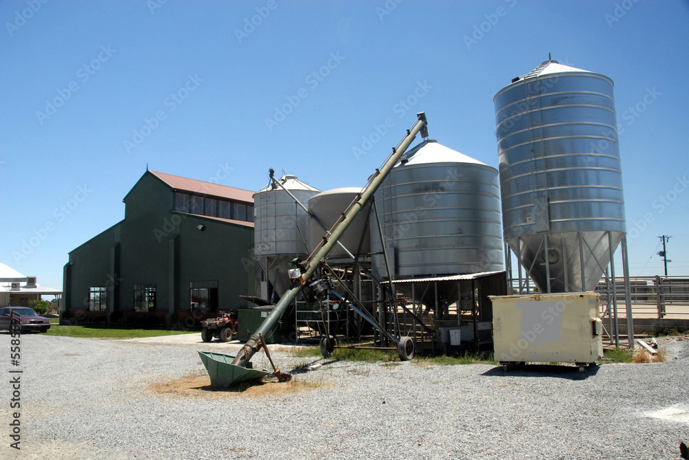daily farm yard showing silo facility daily farm yard showing silo facility