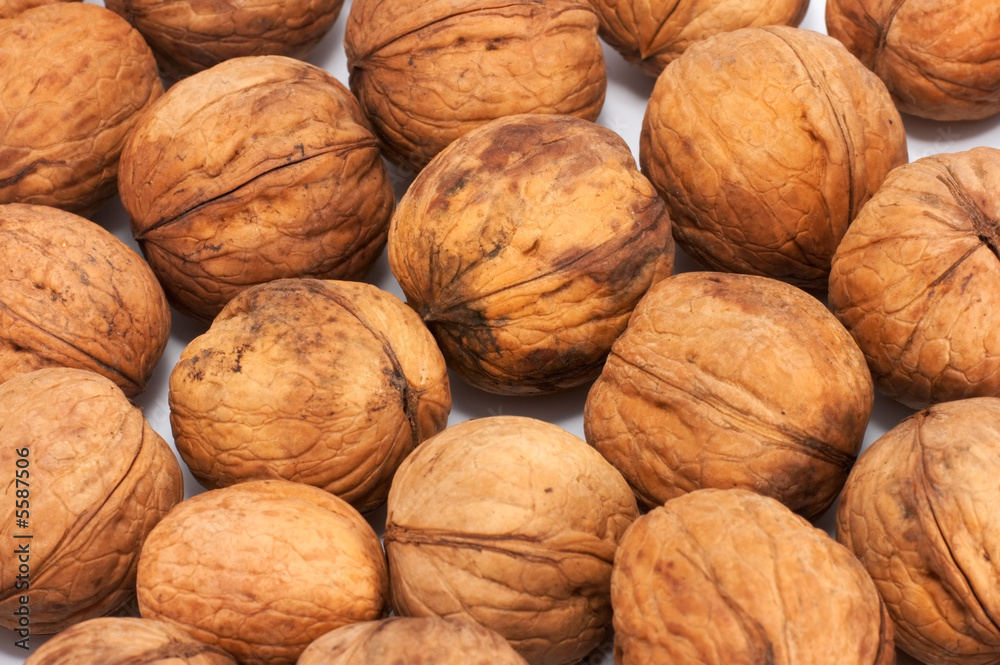 Nuts garden-stuf background Nuts garden-stuf background