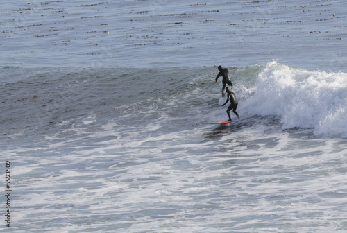 Surfer off of Point Santa Cruz in Northern California