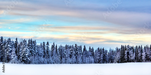 winter scenery © Andreas Gradin