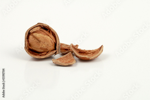 Hazelnut with the broken shell on a white background